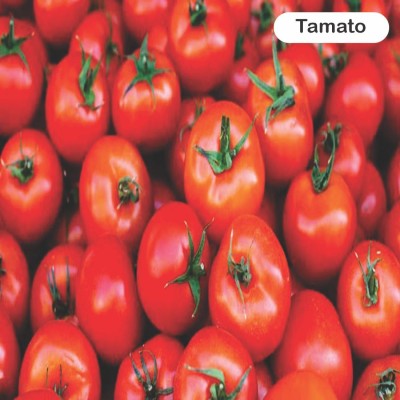 surmul Premium Tomato Seeds(Tamatar ke beej): Grow Your Own Delicious Tomatoes at Home Seed(10 g)