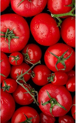 Quentova Large Red Cherry Tomato 2.5gm Seeds Seed(1000 per packet)