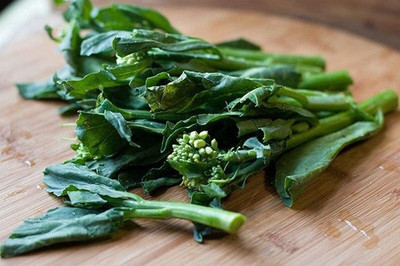 Qualtivate NDIR-512 Chinese Broccoli - Wan Shen Kailaan Seed(200 per packet)