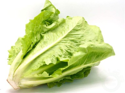 Qualtivate AXL-1AT Lettuce Romaine Seed(300 per packet)