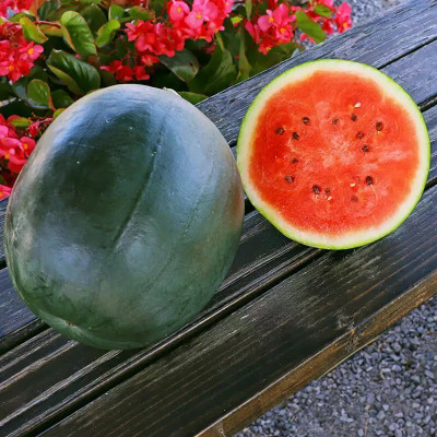 EMKOT SWEET JUICY YELLOW WATERMELON Seed(100 per packet)
