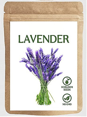 Biosnyg HUA-28 Lavender-[200 Seeds] Seed(200 per packet)