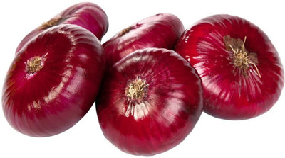 Quentova Onion -Seeds-XII-22P Seed(200 per packet)