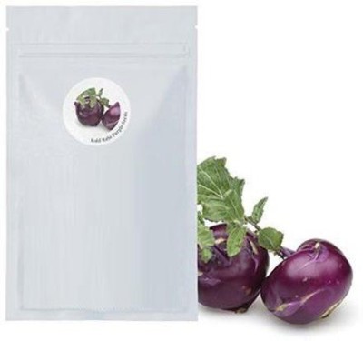 CYBEXIS Stem Turnip2000 Seeds Seed(2000 per packet)