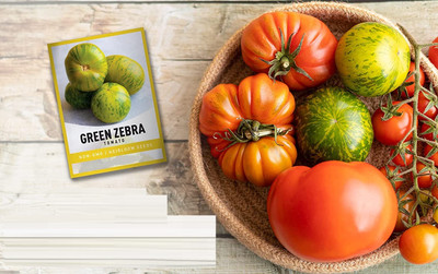 Biosnyg Tomato Green Zebra Seed(1000 per packet)