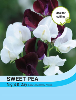 CYBEXIS Flowers - Sweet Pea Night & Day Seed(1 g)