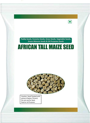 Qualtivate XXX-5A African Tall Corn Maize/Fodder Maize/Makka Seeds Seed(400 per packet)