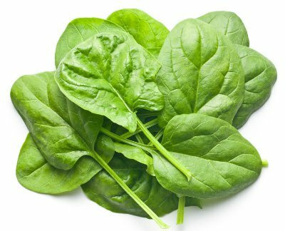 MYLAWN Organic Palak Spinach Seed(200 per packet)