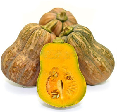 Farmonix Pumpkin Vegetable/ Fruit From Viet Nam Seed(2000 per packet)