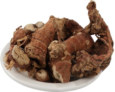 Elysian Enterprises Kulanjan - Kulinjan - Paan Jadd - Siamese Ginger - Thai Ginger - Galangal Seed(250 g)