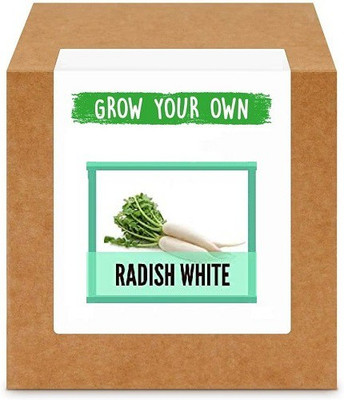 CYBEXIS Long Radish1200 Seeds Seed(1200 per packet)