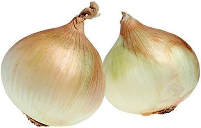 Biosnyg Non GMO Walla Walla Onion Seeds For Kitchen Gardening-(750 Seeds) Seed(750 per packet)