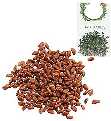 CYBEXIS Organic Herb Seeds-Garden Cress2800 Seeds Seed(2800 per packet)