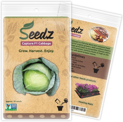WILLVINE MEH -XIII Capture F1 Cabbage Seeds [50g] Seed(15000 per packet)