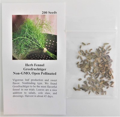 CYBEXIS GUA-83 - Fennel Grosfruchtiger - (750 Seeds) Seed(750 per packet)