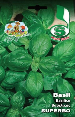 Qualtivate LXI-3 Basil Superbo Ocimum basilicum Seed(1000 per packet)