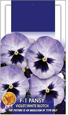 CYBEXIS Pansy Violet/White Blotch Flower Seeds Seed(1 g)
