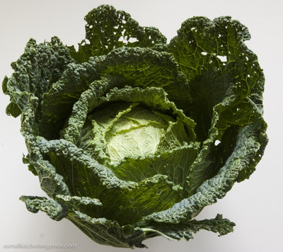 KNESSiN Cabbage Savoy Seed(1250 per packet)