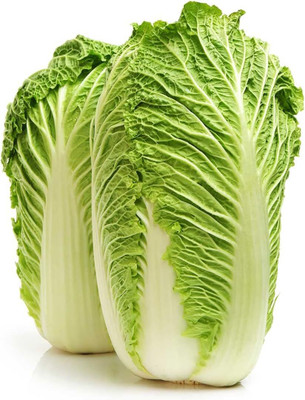 WILLVINE MAH -X Michihili Chinese Cabbage Seeds [50g] Seed(15000 per packet)