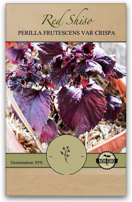 VibeX HUA-99 - Red Shiso Herb (Perilla frutescens) - (2250 Seeds) Seed(2250 per packet)