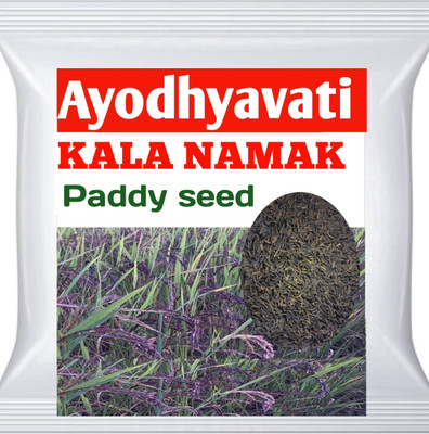 AYODvati AYODvati Premium quality product Black paddy seeds, kala namak dhan beej 1kg. Seed(1 per packet)