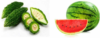 CYBEXIS Combo of Watermelon and Bitter Gourd Seed(10 g)