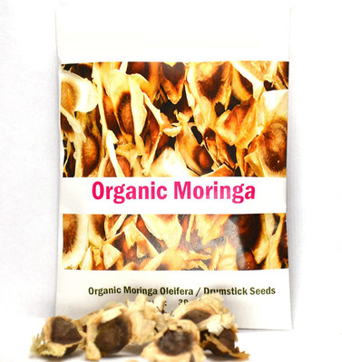CYBEXIS VXI-53 - Moringa Oleifera Drumsticks PKM Rama 117 - (1350 Seeds) Seed(1350 per packet)