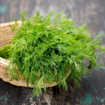 CEZIUS Dill Seed(250 per packet)