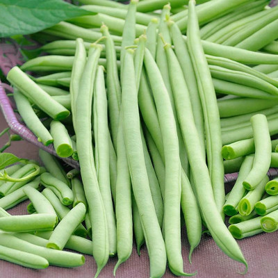KS TRADERS French Bean Cobra Seed(1 per packet)