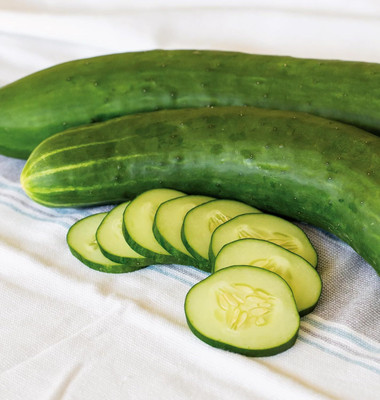 KNESSiN High Yield Sweet Success Cucumber Vegetable Seeds for Home Garden-(400 Seeds) Seed(400 per packet)