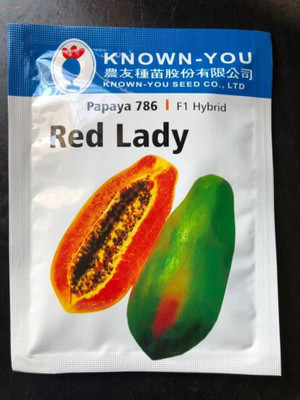 Cloud Farm iceberry papaya hybrid seeds Seed(650 per packet)