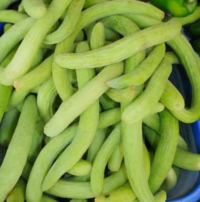 Aywal Armenian Cucumber Kakdi , Kakri Seed(200 per packet)