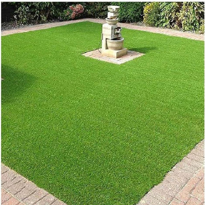 SeeGreen Maxican Carpet Grass Seeds| Barmuda Grass | lawn Grass30 Seed(11140 per packet)