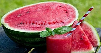MKR Enterprises Watermelon Seed(50 per packet)