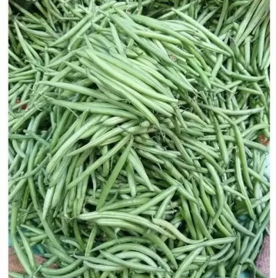 Aro Beans, French Beans Seed(34 per packet)