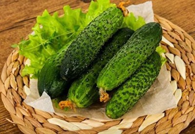 Qualtivate PUA-7A Cucumber Parisian Gherkin Pickling Seed(300 per packet)