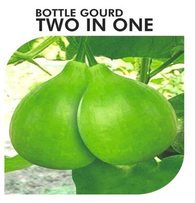 EcoFusion Bottle Gourd Two In One Seeds, Lauki 44 Seed(44 per packet)