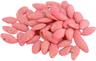 WILLVINE VLX-V F1 Hybrid Cucumber Seed-[500 Seeds] Seed(500 per packet)