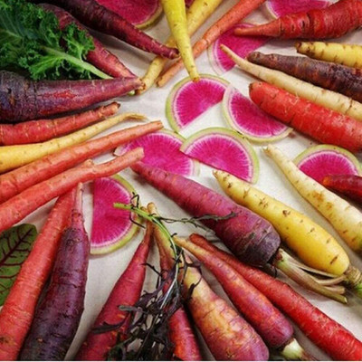 CYBEXIS Heirloom Vegetable Seed for Outdoor Mix Carrot Seeds 4000 Seeds Seed(4000 per packet)