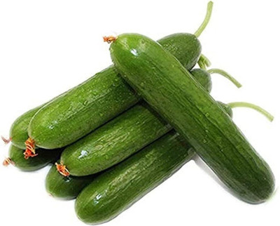 KNESSiN Green Cucumber Seed(200 per packet)