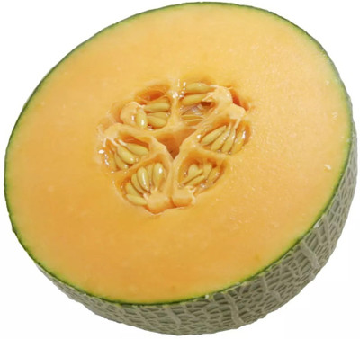 Quentova Muskmelon Sweet Melon-VXL-10Y Seed(100 per packet)