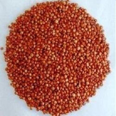 the green dotcom Cow eating grass seeds/fast growing cow grass seeds for cow feed Seed(6000 per packet)