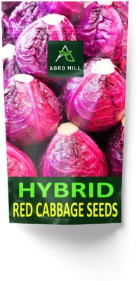 AGRO MILL CABBAGE Seed(5 g)