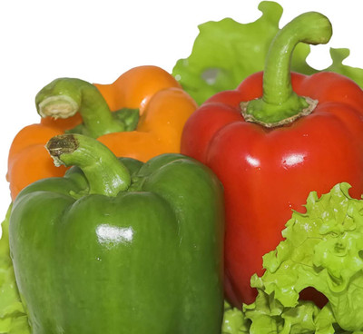 KNESSiN Capsicum Rainbow Seed(400 per packet)