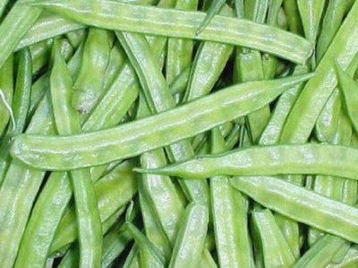 Avysa Cluster Beans (गवारफली) Seed(30 per packet)