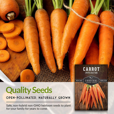 CYBEXIS VVI-55 - Scarlet Nantes Carrot - (750 Seeds) Seed(750 per packet)