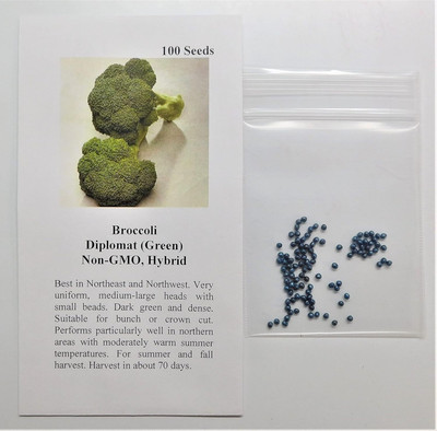 Qualtivate VXI-531 Seeds Broccoli Diplomat Seed(200 per packet)