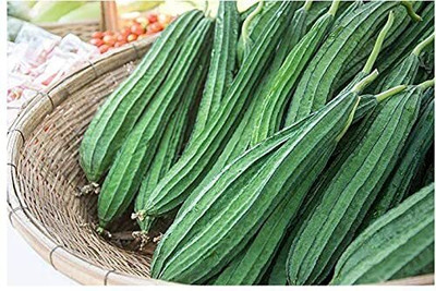 Qualtivate ICRA-4A Angled Ridge Gourd Turai Seed(50 per packet)