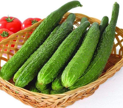 KNESSiN Green Cucumber Seed(200 per packet)