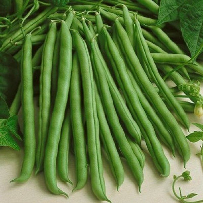 NurseryFriends Organic French Beans Vegetable Seed(100 per packet)